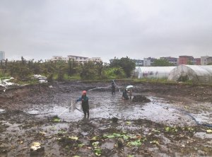 宝坻河道鱼塘清淤